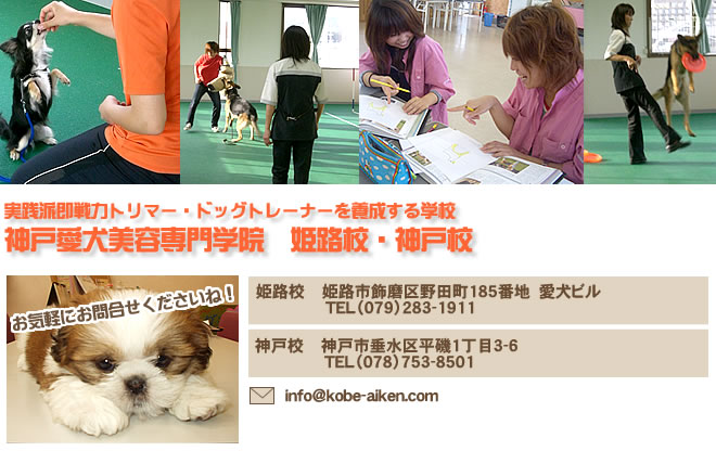 実践派即戦力トリマー・ドッグトレーナーを養成する学校神戸愛犬美容専門学院