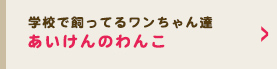 あいけんのわんこ