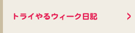 トライやるウィーク日記