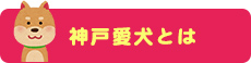 神戸愛犬とは