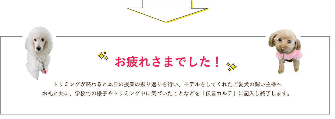 お疲れ様でした！トリミングが終わると本日の授業の振り返りを行い、モデルをしてくれたご愛犬の飼い主様へお礼と共に、学校での様子やトリミング中に気づいたことなどを「伝言カルテ」に記入し終了します。