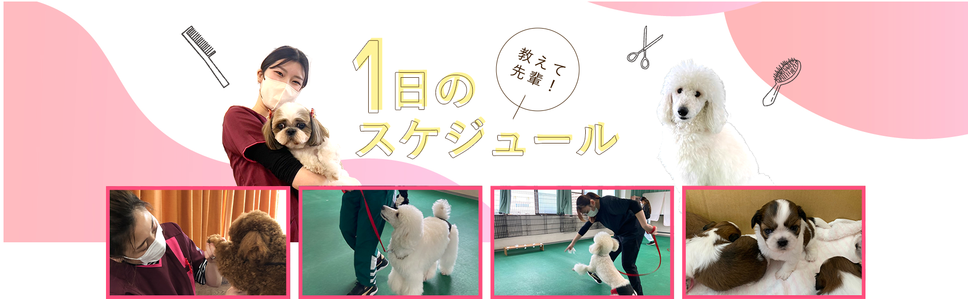 1日のスケジュール