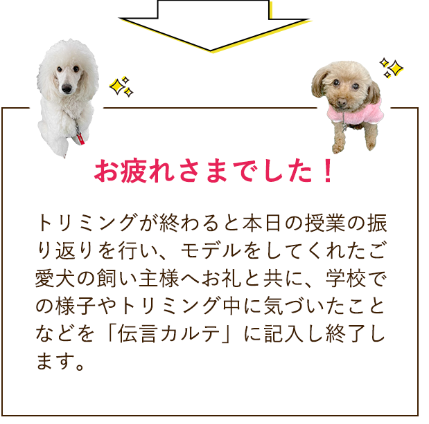お疲れ様でした！トリミングが終わると本日の授業の振り返りを行い、モデルをしてくれたご愛犬の飼い主様へお礼と共に、学校での様子やトリミング中に気づいたことなどを「伝言カルテ」に記入し終了します。