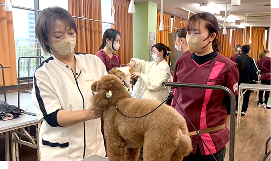 学院理念のイメージ画像