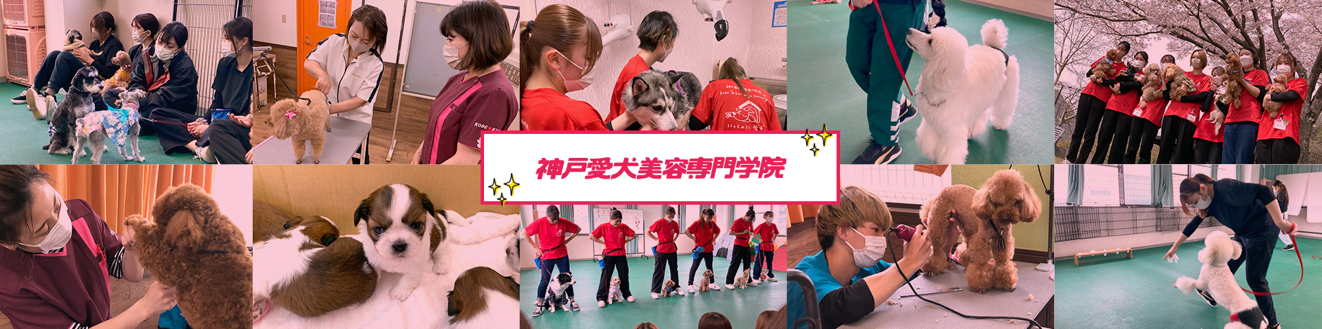 神戸愛犬とは