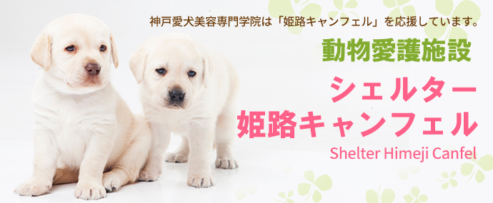 動物愛護施設シェルター姫路キャンフェル