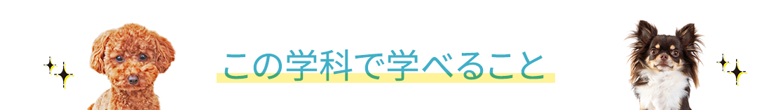 この学科で学べること