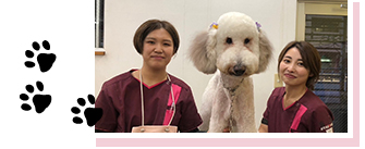 神戸愛犬専門学校　神戸校のイメージ写真