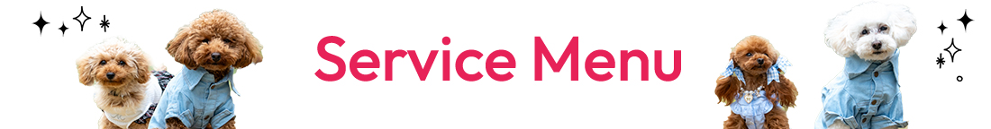 Service Menu