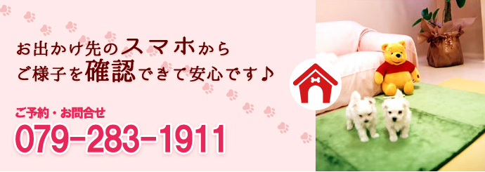 スマホから様子を確認できて安心♪