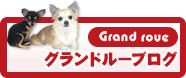 グランドルーブログ