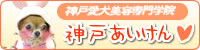 神戸愛犬美容専門学院