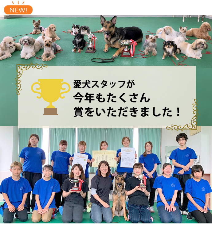 愛犬スタッフが今年もたくさん賞をいただきました！