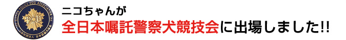 ニコちゃんが全日本嘱託警察犬に出場しました！