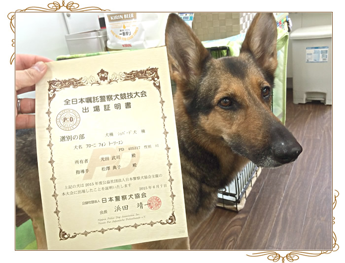 ニコちゃんが全日本嘱託警察犬に出場しました！