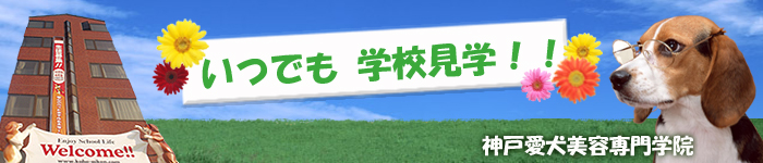 いつでも学校見学
