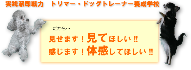 見せます！見てほしい！！感じます！体感してほしい！！