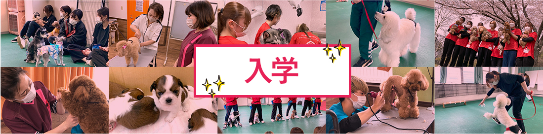 入学