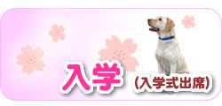 入学(入学式出席)
