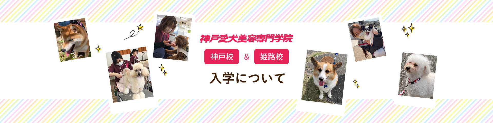 入学について