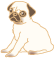 いぬ