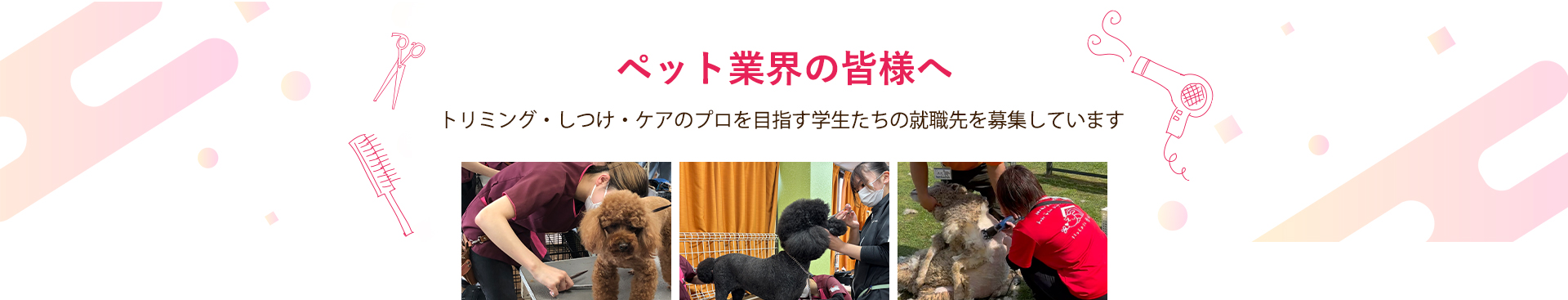 求人募集