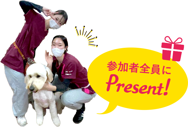 Open Campusのイメージ画像