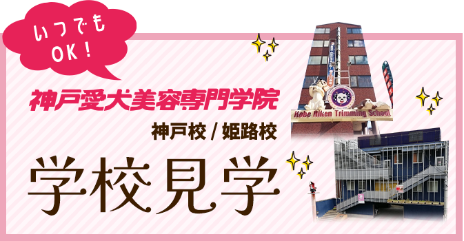 いつでもOK!学校見学はこちら