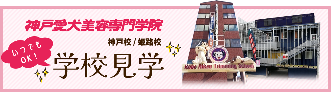 いつでもOK!学校見学はこちら