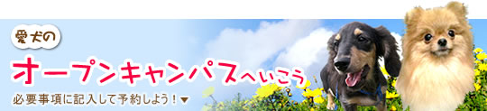 オープンキャンパスへ行こう！