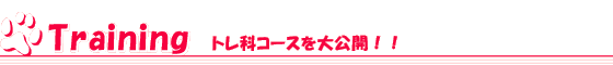 トレーニング