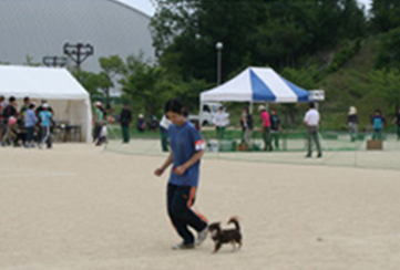 学校への出張説明会・体験会