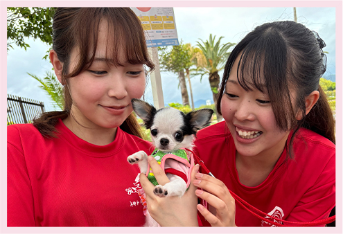 イベントでも大活躍